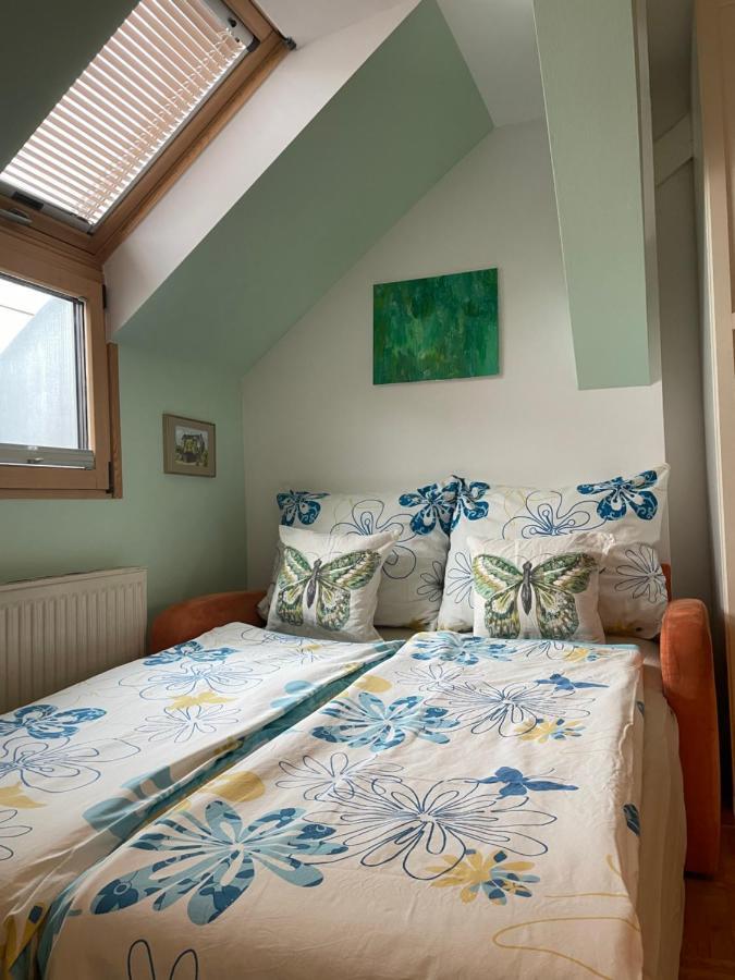 Grazer Schwalbe Apartment Екстериор снимка