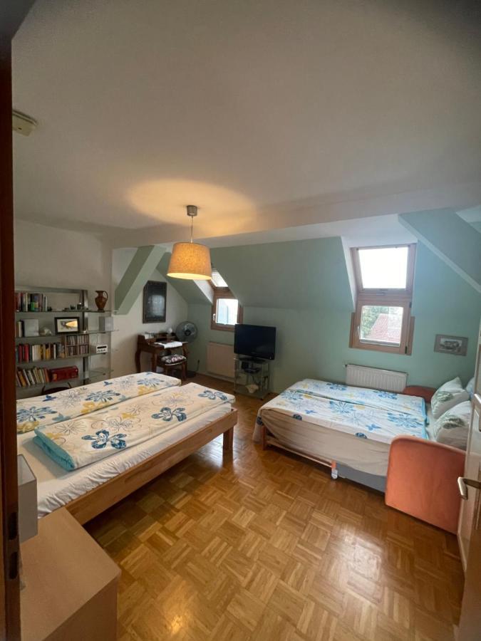 Grazer Schwalbe Apartment Екстериор снимка