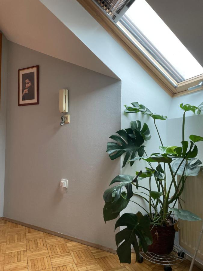 Grazer Schwalbe Apartment Екстериор снимка