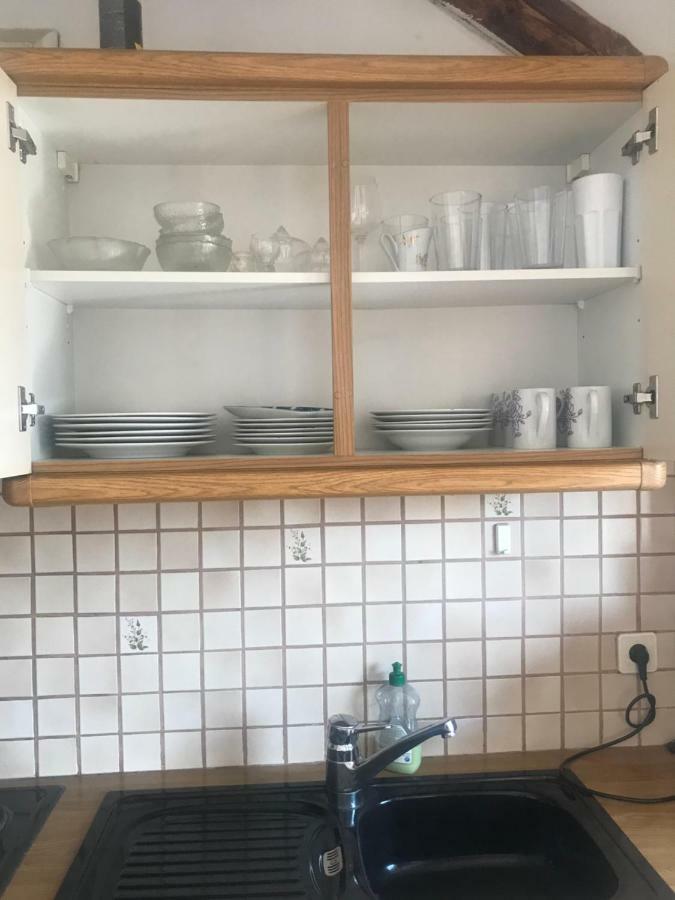 Grazer Schwalbe Apartment Екстериор снимка